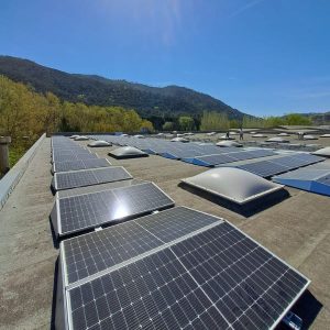 Desarrollo de proyectos de renovables a nivel industrial en suelo y cubierta